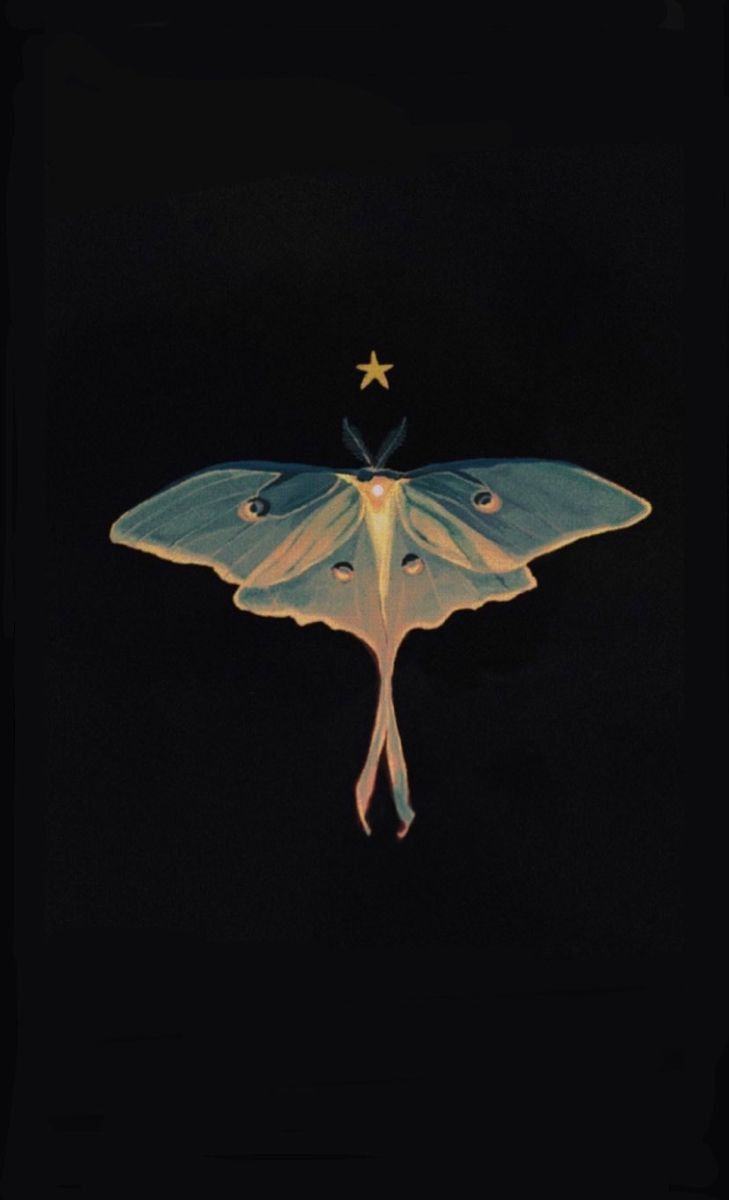 A note on challenges, self-learning and astrology