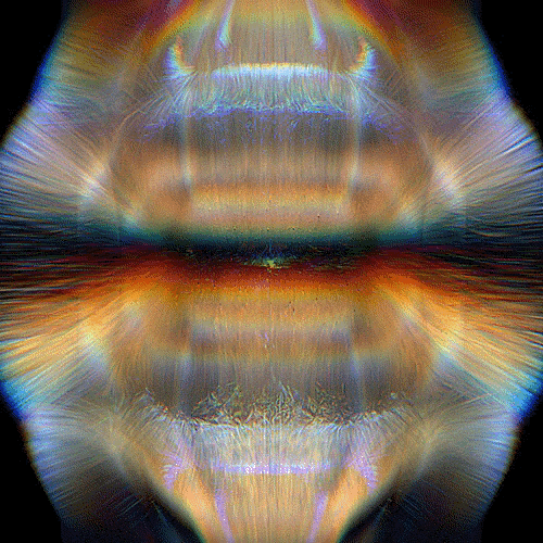 Flight attendants are aimless?